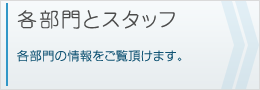 名部門とスタッフ