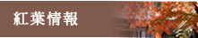 �g�t���