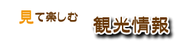 観光情報