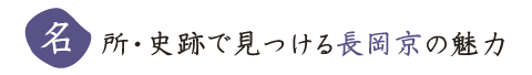 �����E�j�ՂŌ����钷�����̖���