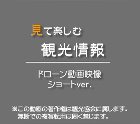 歴史と花とやすらぎのまち 長岡京市観光協会