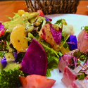 ランチ