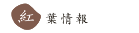 �g�t���