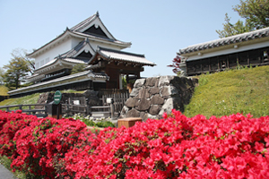 勝竜寺公園