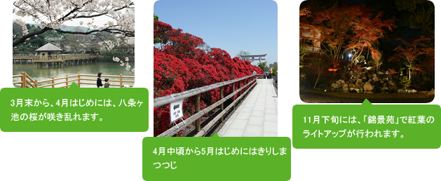 �݂ǂ���