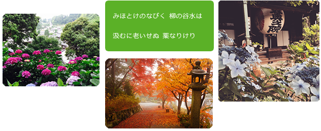 �݂ǂ���