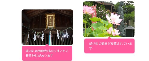 みどころ