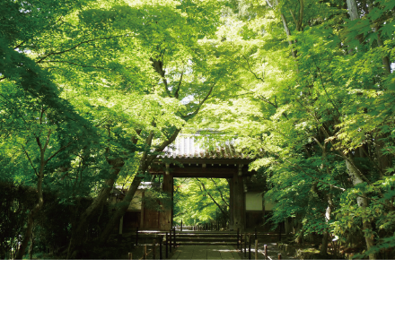 光明寺
