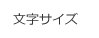 文字の大きさを変更